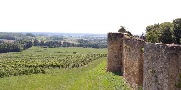 vins du jura chateau arlay