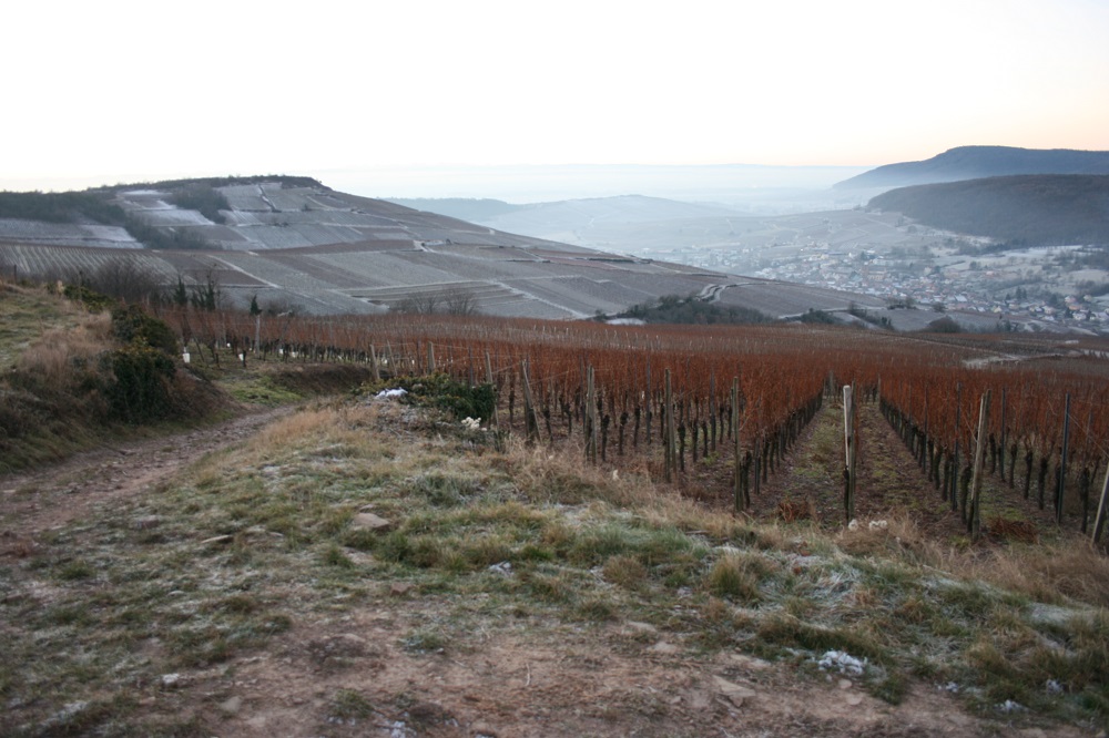 domaine leon boesch